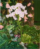 by Liz Robinson