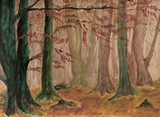 by Liz Robinson