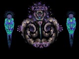 by chris hobby