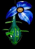 by Denny Gholson