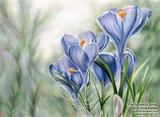by Alicia Hansen