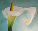 by Cathy Savels