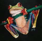 by Barbara Keith