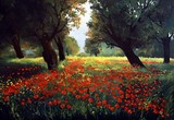 by Fehér István