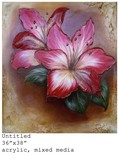 by Paola N. Dawson