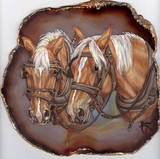 by Annie Feist