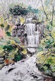 by Dell Belew