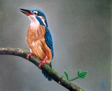 by Ton van Meerendonk