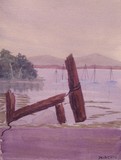 by robert minchin