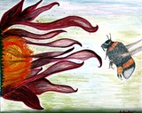 by Barbara Giordano