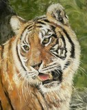 by Tracey Wood