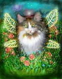 by Jane  Priser