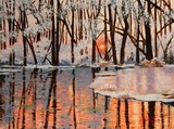 by Cecil Williams