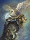 by Jean Stote