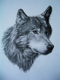 by jan farthing