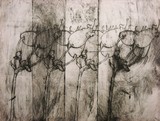 by Andrea Schnare