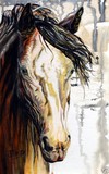 by Jacqueline Kinsey