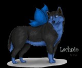 by chibi zaza