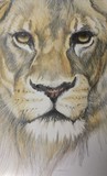 by Teddie Dumas Forbes