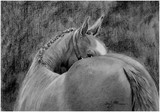 by Geri Dunn