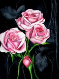 by EMMANUEL TURNER