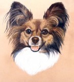 by Diane Kopczeski