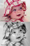 by Treasured  Portraits