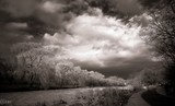 by Andy Zav