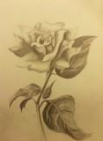 by tay mel