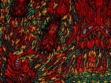 by samuel bohorquez