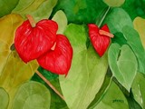by Jim Pierce