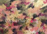 by Dull Crystal
