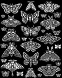 by Janelle Dimmett