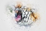 by graham rhodes