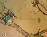 by Diane Howe