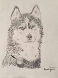 by Amanda Friesen