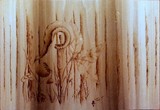 by Jessica Stepp