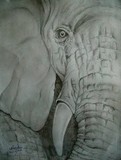 by Navodh Waduwawala