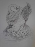 by Leslie Jackson