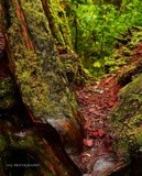 by Scott  Alexander Jack