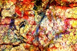 by Emilio B. Campo-Diaz