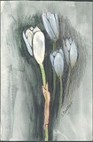 by Susan Currier