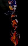 by Ellen LaRose