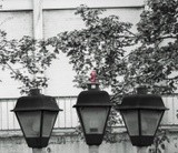 by Marton K