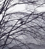 by T. Byron K.
