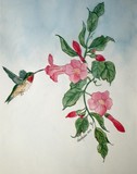 by Nancy Woolweber