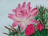 by Nancy Woolweber