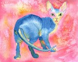 by Yvonne Carter
