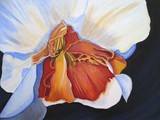 by Terry McClary