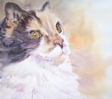 by Ruth Harris